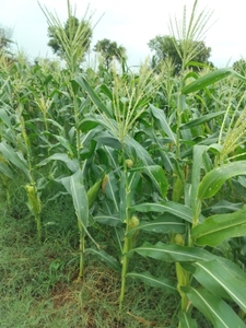 ഫോട്ടോ 4
