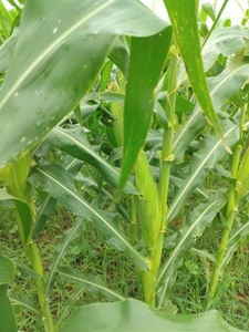 ഫോട്ടോ 5