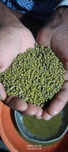 ಮೂಂಗ್