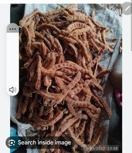 Tamarind