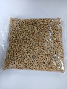గోధుమ