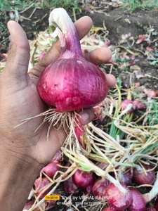 ഫോട്ടോ 3