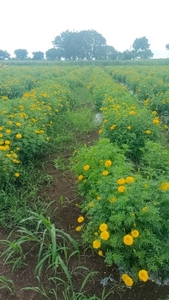 ఫోటో 3