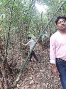 ఫోటో 4