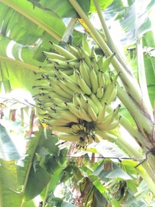 ఫోటో 3