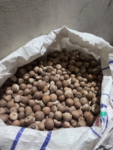 ഫോട്ടോ 2