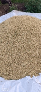 ಸೋಯಾಬೀನ್