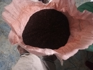 काली मिर्च