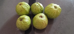 ഫോട്ടോ 2