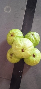 ഫോട്ടോ 3