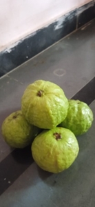 ഫോട്ടോ 4