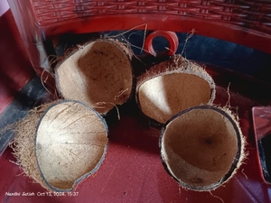 ತೆಂಗಿನಕಾಯಿ ಚಿಪ್ಪು