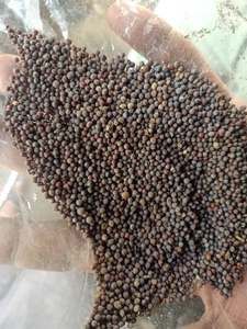 ഫോട്ടോ 2