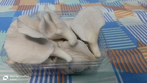 படம் 2