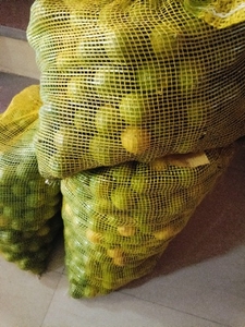 ಫೋಟೋ 2