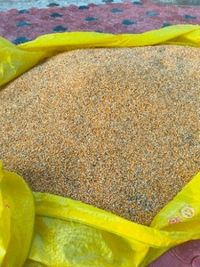 മക്ക
