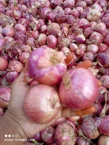 படம் 2