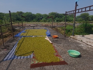 फोटो 2