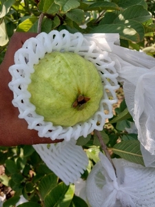 ഫോട്ടോ 2
