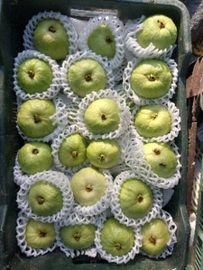 ഫോട്ടോ 4
