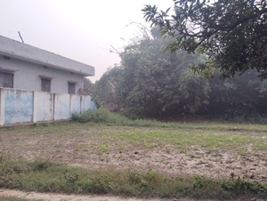 മുള