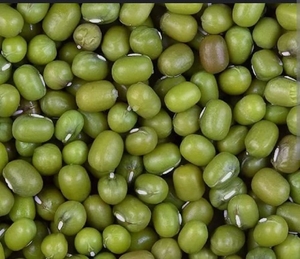 ಮೂಂಗ್