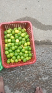 படம் 4