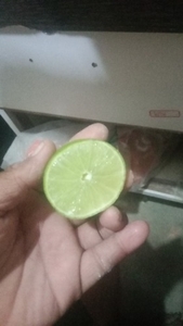 படம் 5