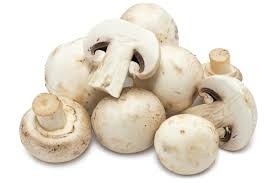 காளான்கள்