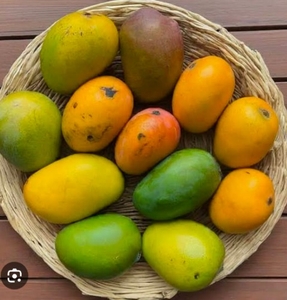 മാമ്പഴം