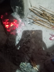 చెక్క బూడిద