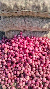 ഫോട്ടോ 2