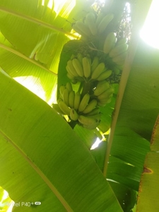 ఫోటో 3