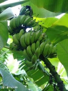 ఫోటో 5