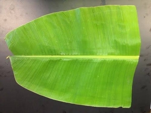 ಫೋಟೋ 2