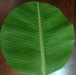 ಫೋಟೋ 3