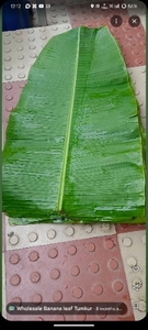 ಫೋಟೋ 4