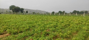 ഫോട്ടോ 3