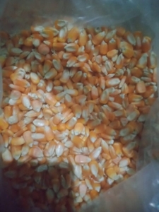 മക്ക