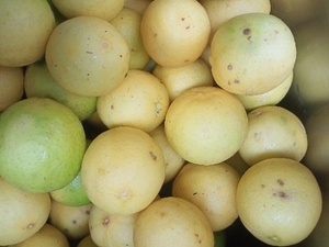 எலுமிச்சை