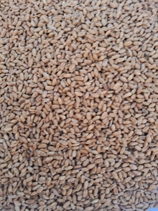 ഫോട്ടോ 2