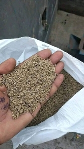 ജീര