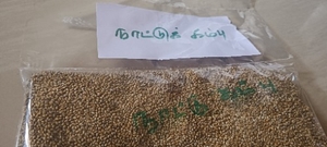 മില്ലറ്റുകൾ