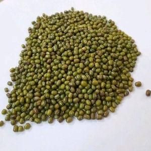 ಮೂಂಗ್