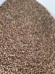 അരെക്കനട്ട്