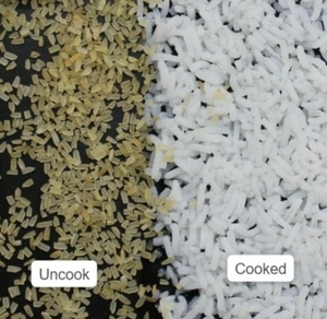 Rice