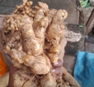 படம் 2
