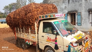 ఫోటో 2