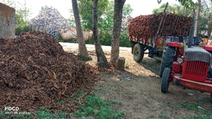 ఫోటో 3