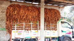 ఫోటో 4